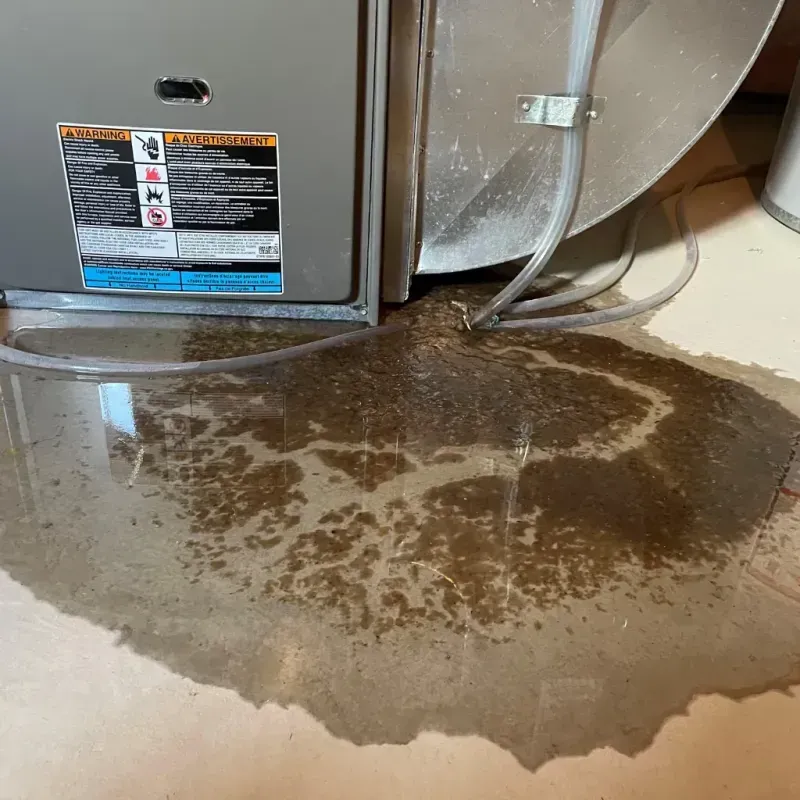 Appliance Leak Cleanup in Mansura, LA